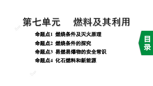 2020年湖南中考化学复习第七单元 燃料及其利用