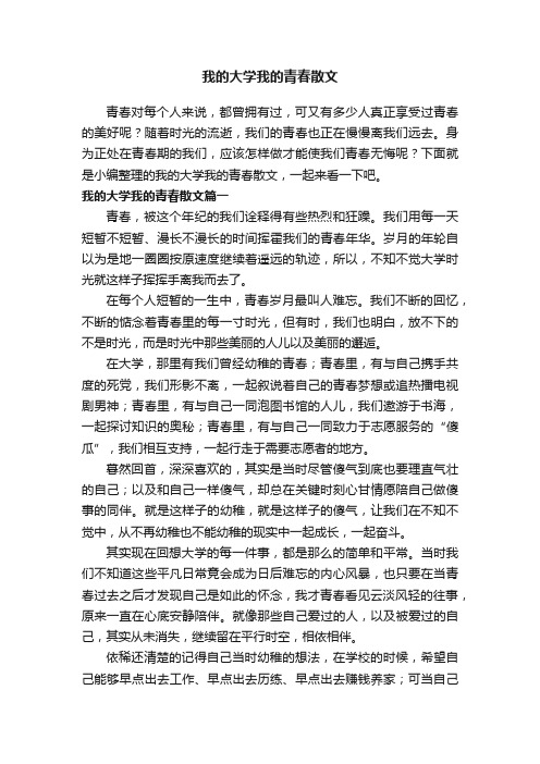 我的大学我的青春散文