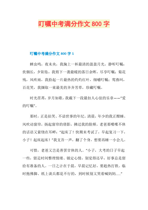 叮嘱中考满分作文800字