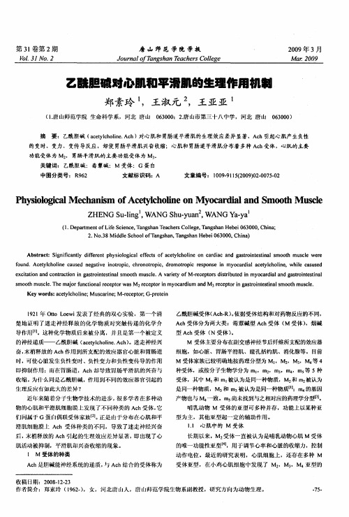 乙酰胆碱对心肌和平滑肌的生理作用机制