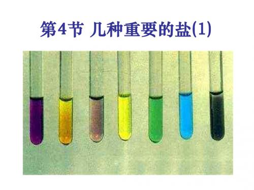 九年级科学几种重要的盐11(2019年)