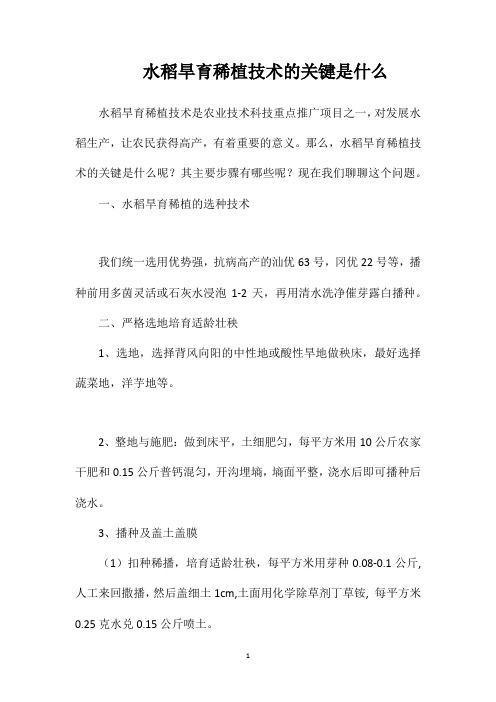 水稻旱育稀植技术的关键是什么