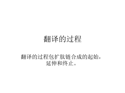 翻译的过程 2