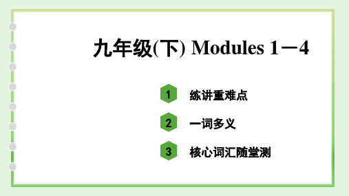 中考英语单词用法分册总复习九年级(下) Modules 1-4