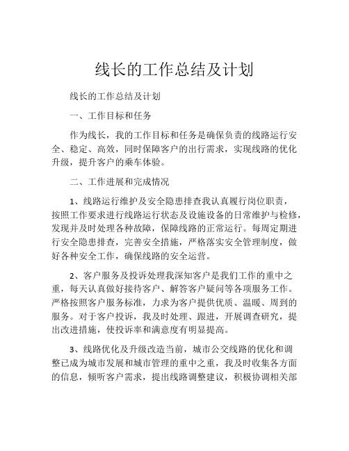 线长的工作总结及计划