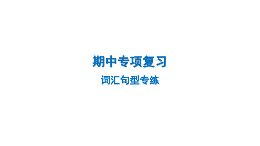 2024-2025学年英语外研版八年级上册期中专项复习课件+词汇句型专练