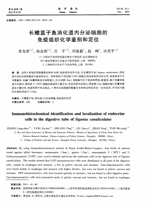 长鳍篮子鱼消化道内分泌细胞的免疫组织化学鉴别和定位