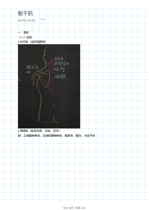 医学解剖-解剖课学习手记-肌学-躯干肌