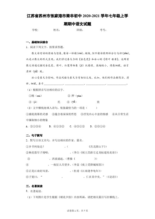 江苏省苏州市张家港市梁丰初中2020-2021学年七年级上学期期中语文试题(含答案解析)