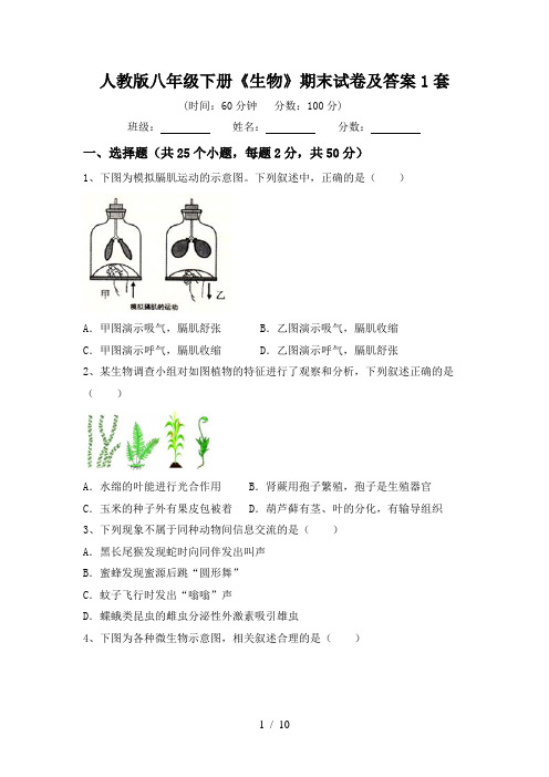 人教版八年级下册《生物》期末试卷及答案1套