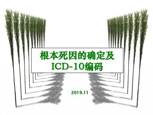 根本死因确定及ICD-编码20191116