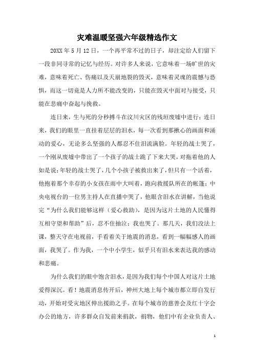 灾难温暖坚强六年级精选作文