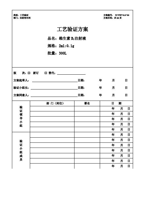 维生素注射液工艺验证方案