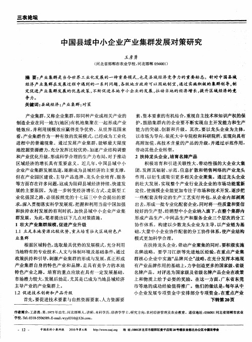 中国县域中小企业产业集群发展对策研究