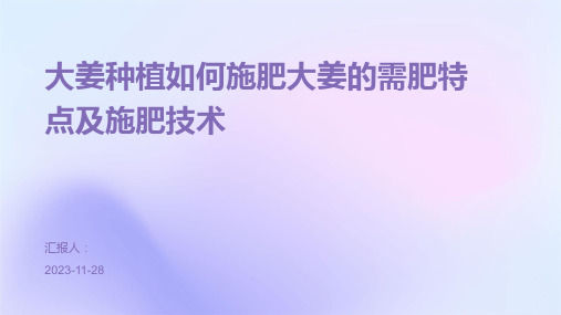 大姜种植如何施肥大姜的需肥特点及施肥技术