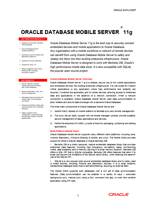 Oracle Database Mobile Server 11g 用户手册说明书