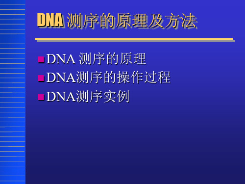 DNA测序的方法