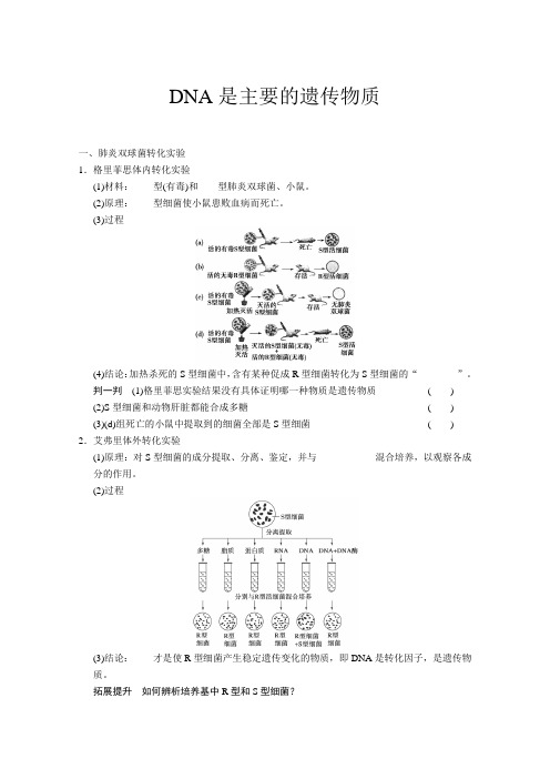 安徽省寿县安丰中学高三生物一轮复习教案:DNA是主要的遗传物质