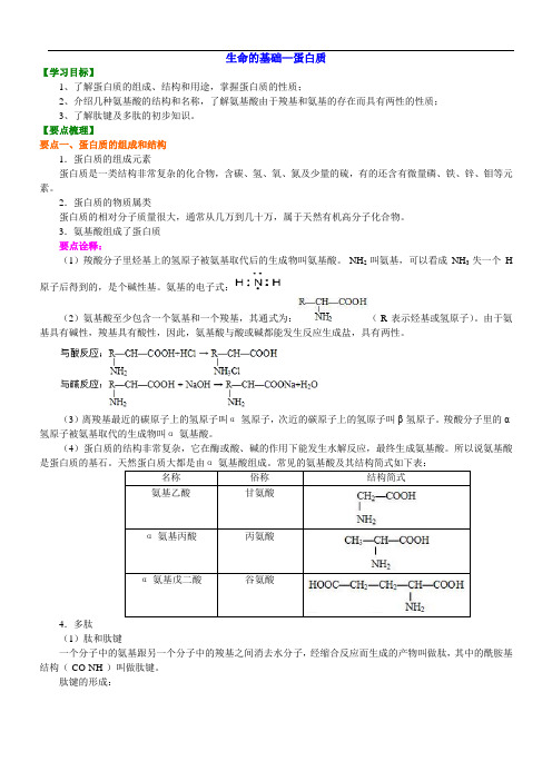 初三化学经典 生命的基础—蛋白质知识讲解