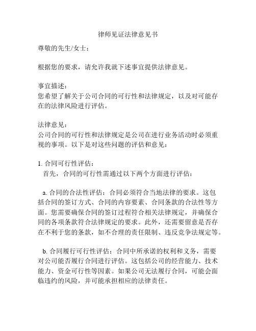 律师见证法律意见书