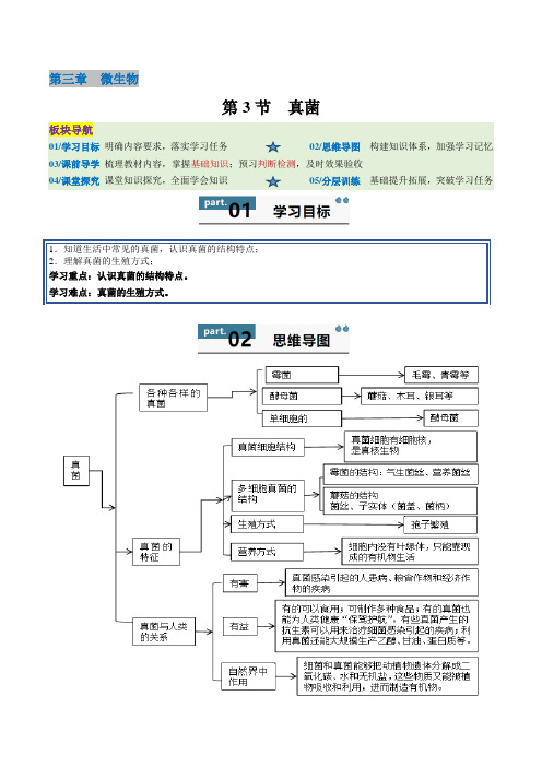 【2024版人教版生物七上同步练习】2.3.3 真菌(解析版)