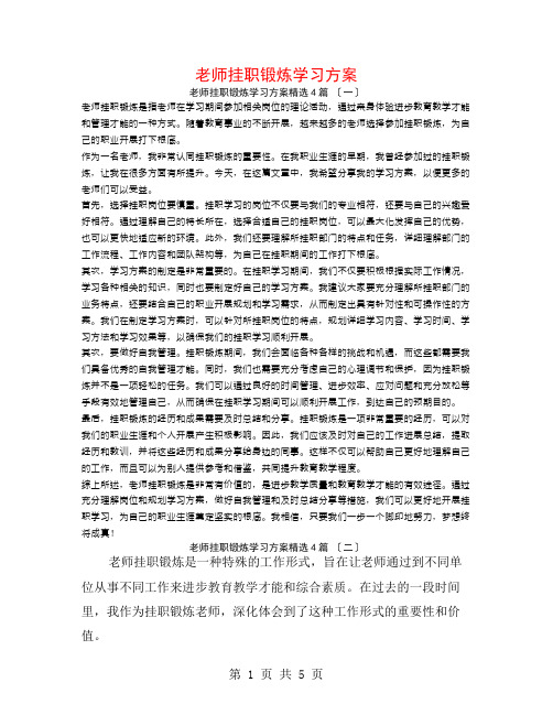 教师挂职锻炼学习计划4篇