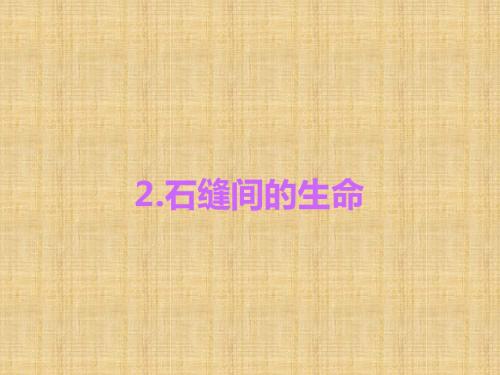 2016《练闯考》九年级语文下册(语文版)第1单元习题课件2.石缝间的生命