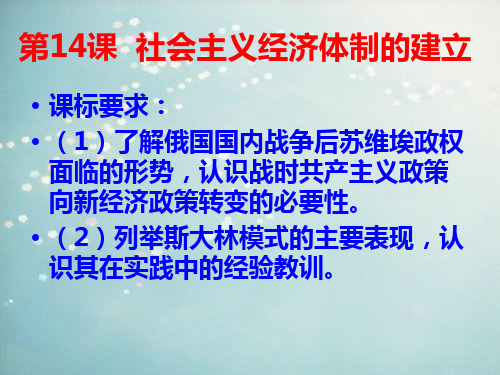 俄国社会主义经济体制的确立