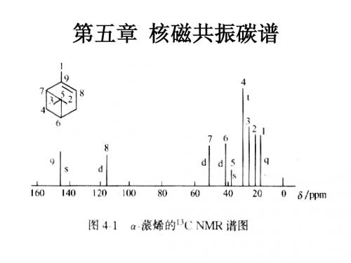 第五章  核磁共振碳谱