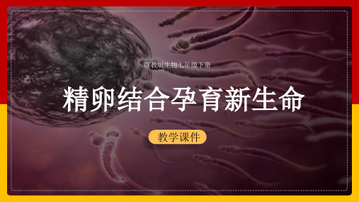 【经典】初中生物苏教版七年级下册《8.1精卵结合孕育新的生命》课件