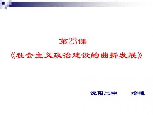 社会主义政治建设的曲折发展