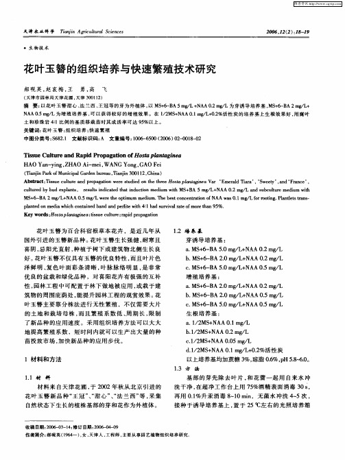 花叶玉簪的组织培养与快速繁殖技术研究