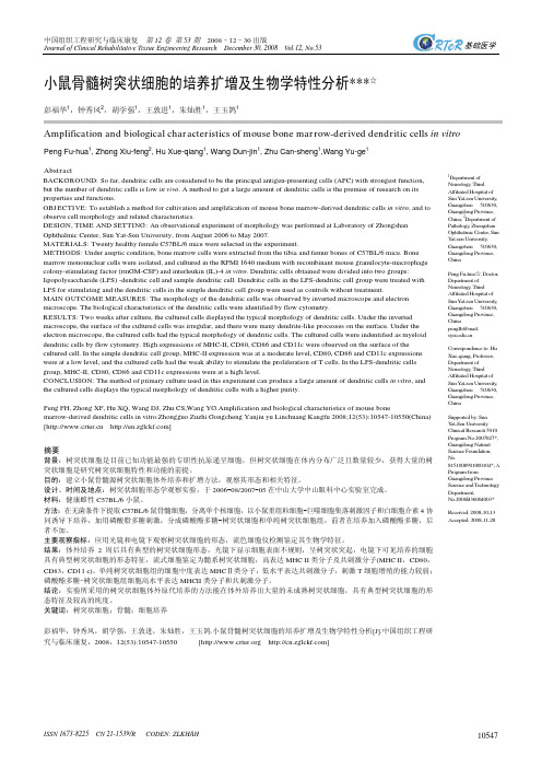 小鼠骨髓树突状细胞的培养扩增及生物学特性分析