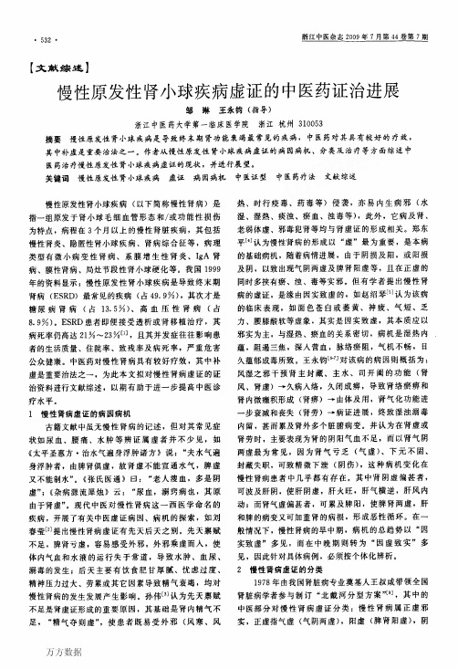 慢性原发性肾小球疾病虚证的中医药证治进展