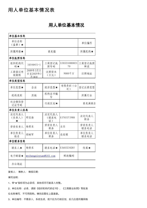 用人单位基本情况表