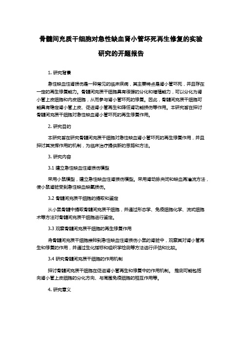 骨髓间充质干细胞对急性缺血肾小管坏死再生修复的实验研究的开题报告