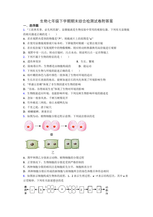 生物七年级下学期期末综合检测试卷附答案