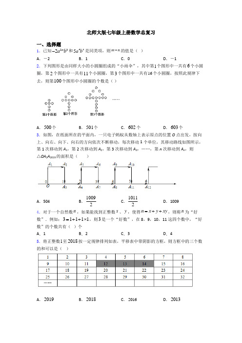 北师大版七年级上册数学总复习