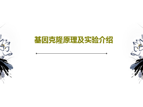 基因克隆原理及实验介绍36页PPT