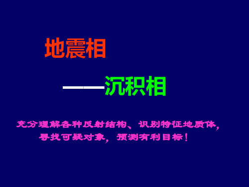 地震相-沉积相