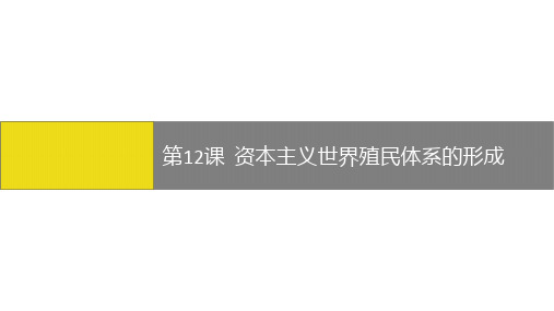 人教统编版高中历史必修中外历史纲要下第12课资本主义世界殖民体系的形成问题探究课件(共24张PPT)