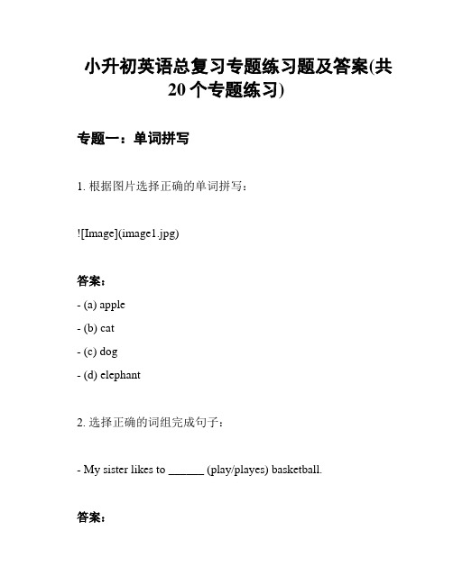 小升初英语总复习专题练习题及答案(共20个专题练习)