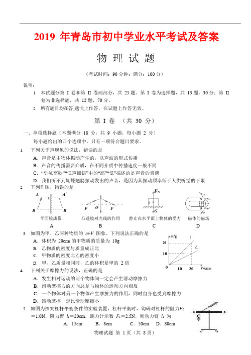 2019年青岛市物理中考试题及答案