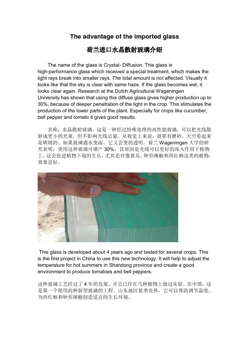 荷兰进口水晶散射玻璃介绍