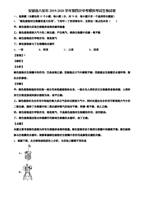 安徽省六安市2019-2020学年第四次中考模拟考试生物试卷含解析