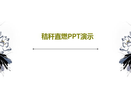 秸秆直燃PPT演示40页PPT