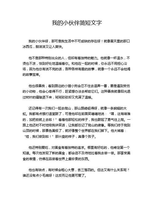 我的小伙伴简短文字