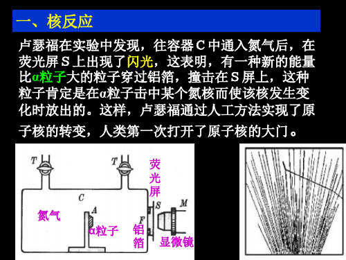 放射性的应用与防护5