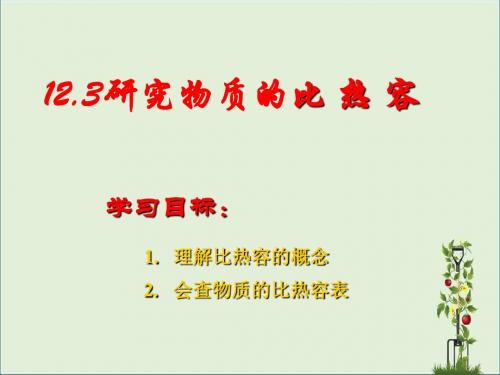 部编本新人教版2019-2020九年级物理上册12.3研究物质的比热容课件新版粤教沪版