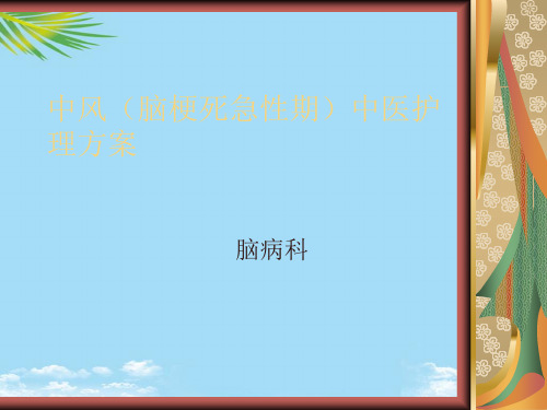 【精】中风急性期中医护理方案演示文稿